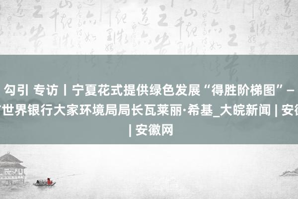 勾引 专访丨宁夏花式提供绿色发展“得胜阶梯图”——访世界银行大家环境局局长瓦莱丽·希基_大皖新闻 | 安徽网