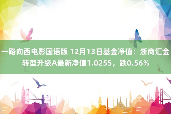 一路向西电影国语版 12月13日基金净值：浙商汇金转型升级A最新净值1.0255，跌0.56%