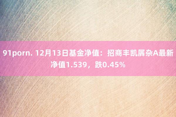 91porn. 12月13日基金净值：招商丰凯羼杂A最新净值1.539，跌0.45%