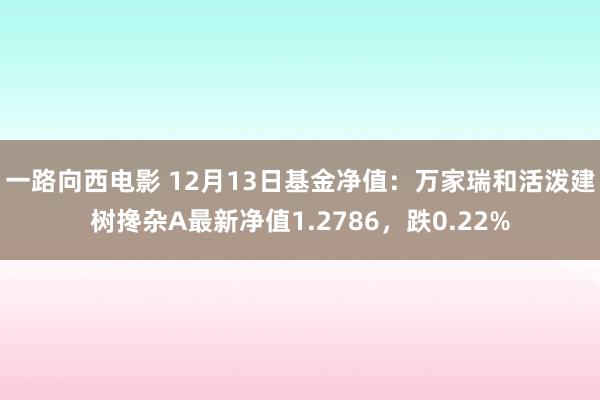 一路向西电影 12月13日基金净值：万家瑞和活泼建树搀杂A最新净值1.2786，跌0.22%