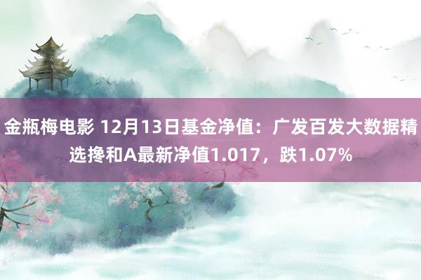 金瓶梅电影 12月13日基金净值：广发百发大数据精选搀和A最新净值1.017，跌1.07%