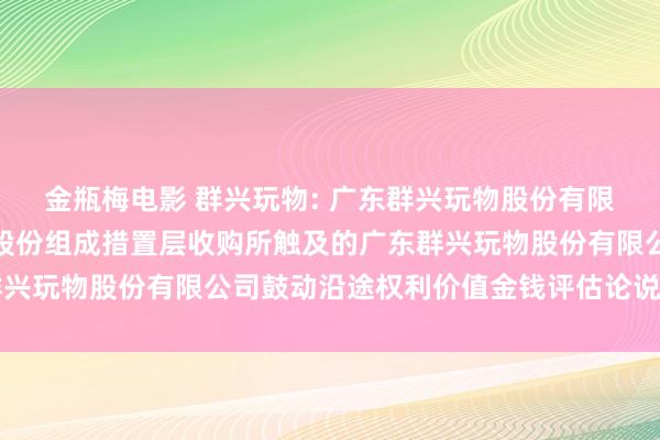 金瓶梅电影 群兴玩物: 广东群兴玩物股份有限公司拟向特定对象刊行股份组成措置层收购所触及的广东群兴玩物股份有限公司鼓动沿途权利价值金钱评估论说本色纲目