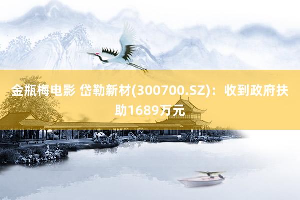 金瓶梅电影 岱勒新材(300700.SZ)：收到政府扶助1689万元