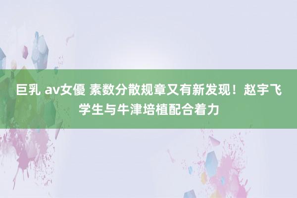 巨乳 av女優 素数分散规章又有新发现！赵宇飞学生与牛津培植配合着力