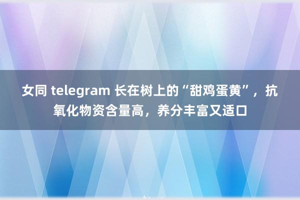 女同 telegram 长在树上的“甜鸡蛋黄”，抗氧化物资含量高，养分丰富又适口