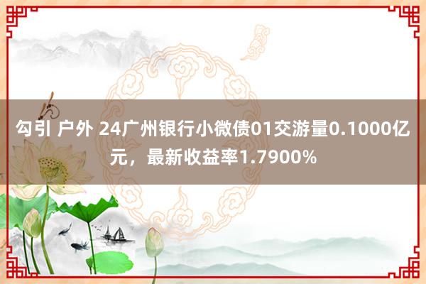 勾引 户外 24广州银行小微债01交游量0.1000亿元，最新收益率1.7900%