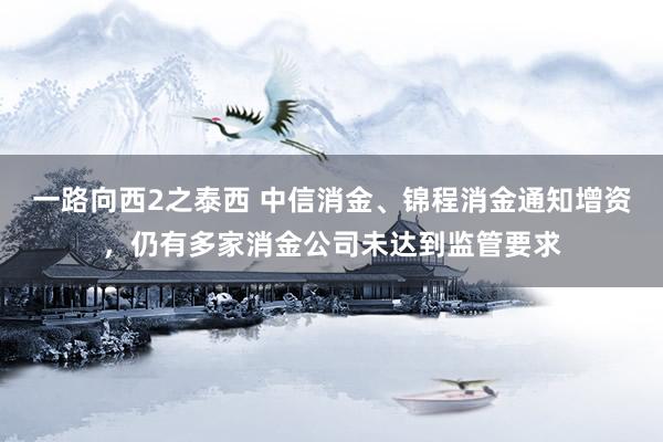 一路向西2之泰西 中信消金、锦程消金通知增资，仍有多家消金公司未达到监管要求