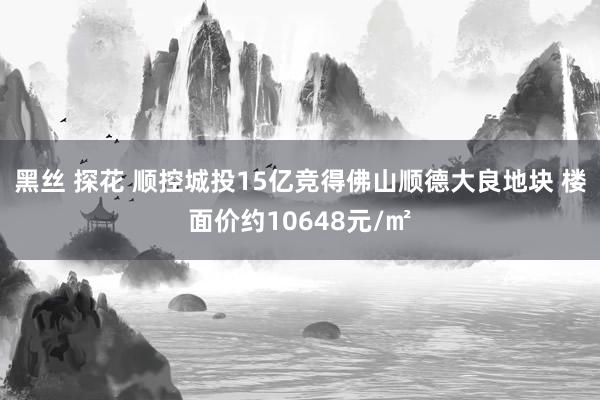 黑丝 探花 顺控城投15亿竞得佛山顺德大良地块 楼面价约10648元/㎡