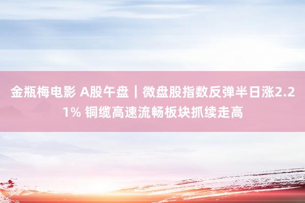 金瓶梅电影 A股午盘｜微盘股指数反弹半日涨2.21% 铜缆高速流畅板块抓续走高