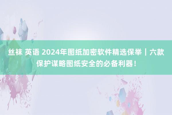 丝袜 英语 2024年图纸加密软件精选保举｜六款保护谋略图纸安全的必备利器！