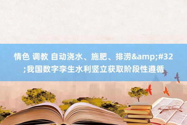 情色 调教 自动浇水、施肥、排涝&#32;我国数字孪生水利竖立获取阶段性遵循