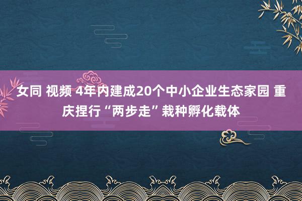 女同 视频 4年内建成20个中小企业生态家园 重庆捏行“两步走”栽种孵化载体