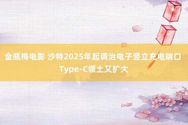 金瓶梅电影 沙特2025年起调治电子竖立充电端口 Type-C领土又扩大