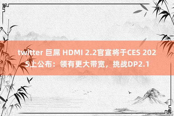 twitter 巨屌 HDMI 2.2官宣将于CES 2025上公布：领有更大带宽，挑战DP2.1