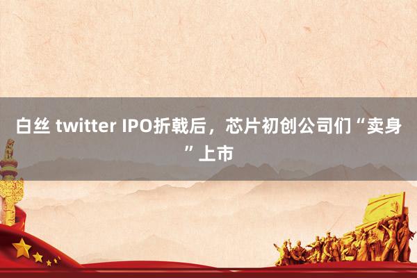 白丝 twitter IPO折戟后，芯片初创公司们“卖身”上市