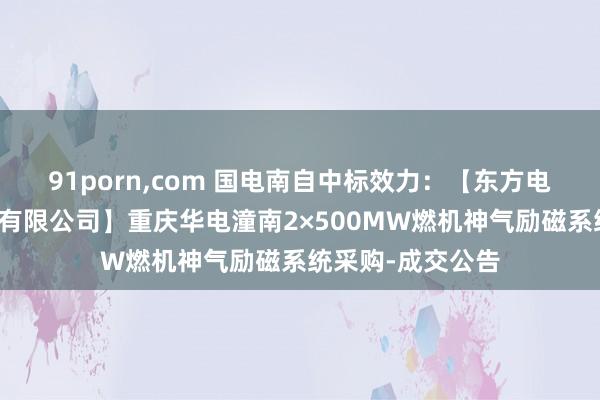 91porn，com 国电南自中标效力：【东方电气集团东方电机有限公司】重庆华电潼南2×500MW燃机神气励磁系统采购-成交公告