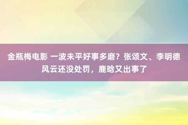 金瓶梅电影 一波未平好事多磨？张颂文、李明德风云还没处罚，鹿晗又出事了