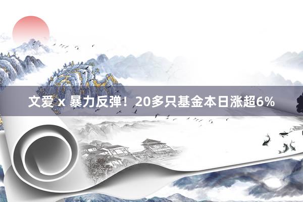 文爱 x 暴力反弹！20多只基金本日涨超6%