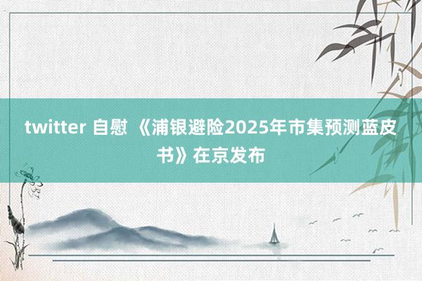 twitter 自慰 《浦银避险2025年市集预测蓝皮书》在京发布