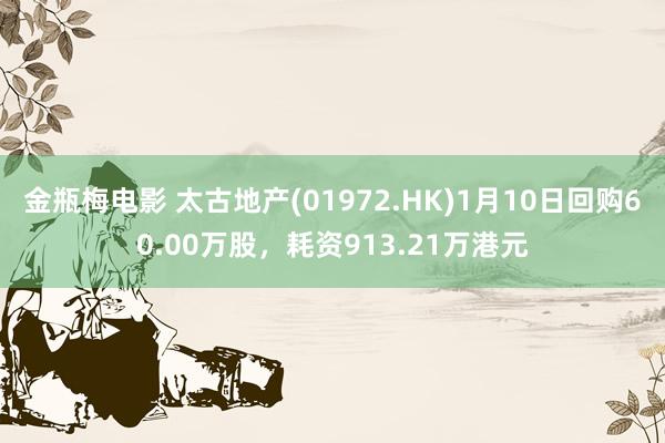 金瓶梅电影 太古地产(01972.HK)1月10日回购60.00万股，耗资913.21万港元