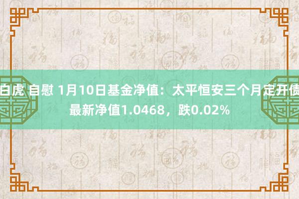 白虎 自慰 1月10日基金净值：太平恒安三个月定开债最新净值1.0468，跌0.02%