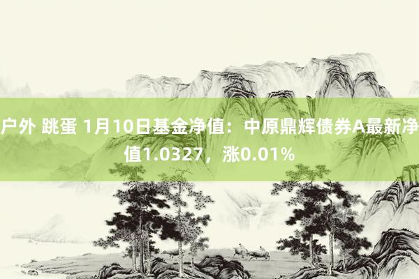 户外 跳蛋 1月10日基金净值：中原鼎辉债券A最新净值1.0327，涨0.01%