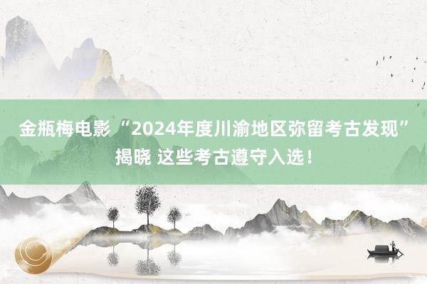 金瓶梅电影 “2024年度川渝地区弥留考古发现”揭晓 这些考古遵守入选！