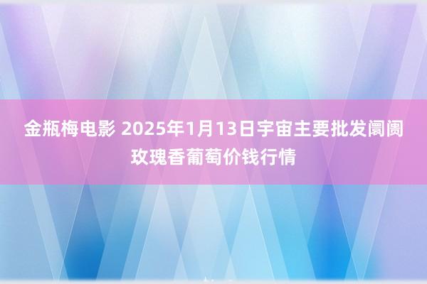 金瓶梅电影 2025年1月13日宇宙主要批发阛阓玫瑰香葡萄价钱行情