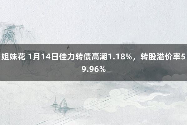 姐妹花 1月14日佳力转债高潮1.18%，转股溢价率59.96%