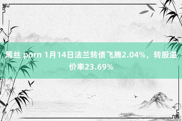 黑丝 porn 1月14日法兰转债飞腾2.04%，转股溢价率23.69%