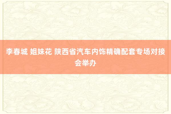 李春城 姐妹花 陕西省汽车内饰精确配套专场对接会举办