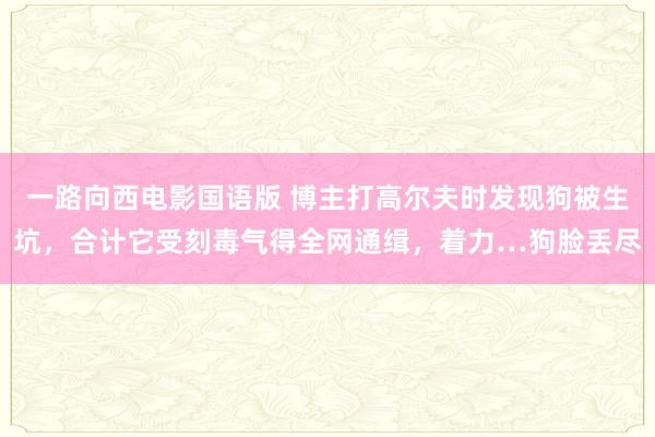 一路向西电影国语版 博主打高尔夫时发现狗被生坑，合计它受刻毒气得全网通缉，着力…狗脸丢尽